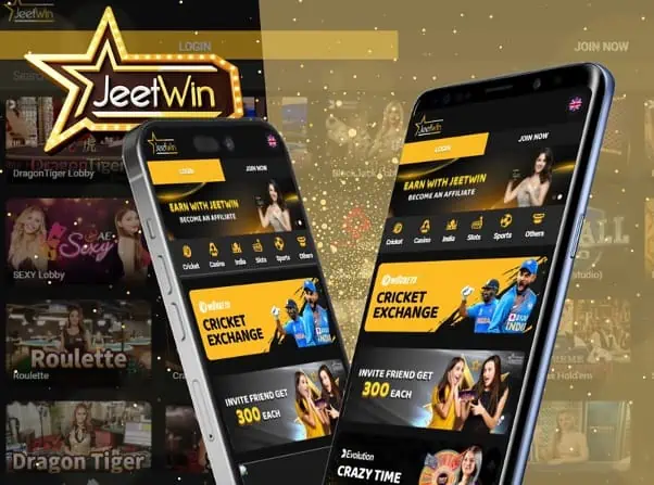 আমি কিভাবে আমার JeeTwin প্রবাহ রেকর্ড দেখতে পারি?